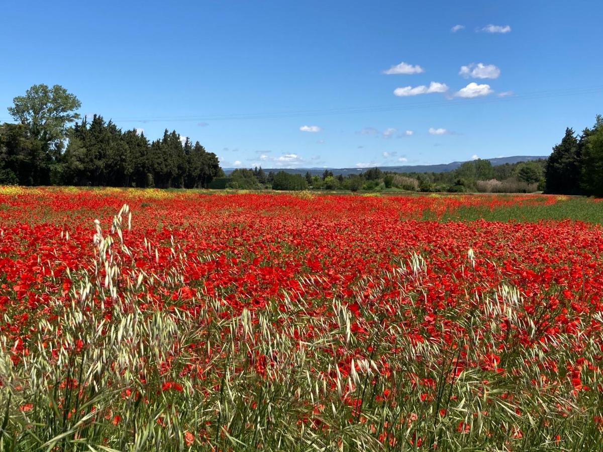 Ilot Coquelicot - Parking Gratuit Securise - Ac Clim - Ascenseur - Balcon Daire LʼIsle-sur-la-Sorgue Dış mekan fotoğraf